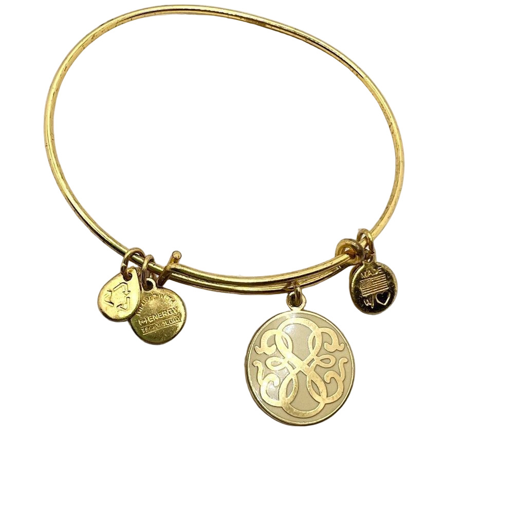Alex and Ani Path of Life Charm Bracelet